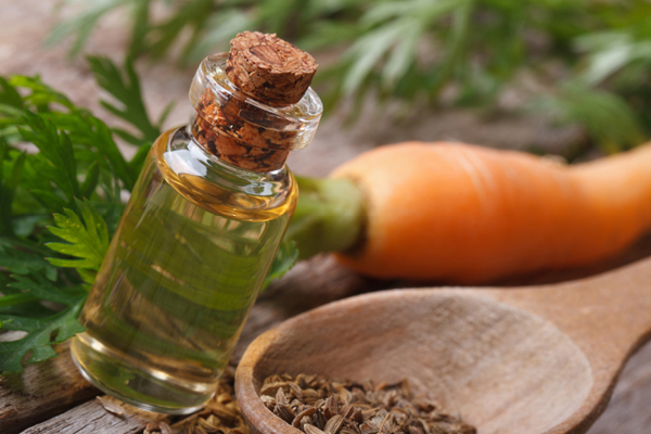 Carrot seed deals oil for skin